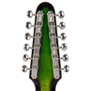 Rapier SAP12GB 3 Pick Up Saffire 12 String Greenburst