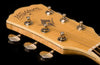 Washburn EA20 Classic Cutaway Festival Series