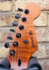 Leonard Allen Custom Built HH Tele Type Electric.