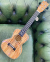 Blackwater YWUK-24FM Spalted Maple Concert Ukelele