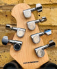 Ernie Ball Sterling Sub AL40 Albert Lee Daphne Blue RW B Stock Bargain