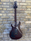 Paul Reed Smith PRS Custom 22 Birds Dark Amber 2004 10-Top Pre Owned