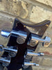 Paul Reed Smith PRS Custom 22 Birds Dark Amber 2004 10-Top Pre Owned
