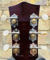 Sigma LGM-SG2 Sunburst Gloss Fishman Sonitone