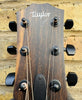 Taylor AD12e-SB Grand Concert Walnut Spruce  Expression Pickup 2022 Pre Owned