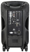 QTX Busker PA with VHF Mics & Media Player