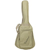 Tanglewood TW2 T SE