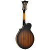 Tanglewood TWMF VSE Scroll Style Cutaway Electric Mandolin