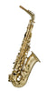 Artemis A1 Alto Sax Outfit Gold Lacquer