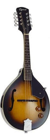 Ozark A Model Electro Mandolin 2077